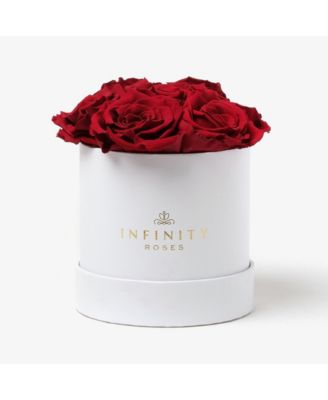 Infinity Roses