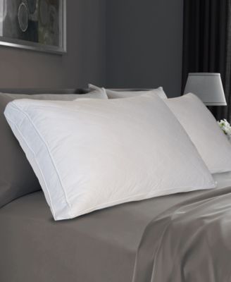 Royal Luxe - Standard/Queen Pillow