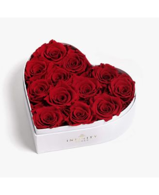 Infinity Roses