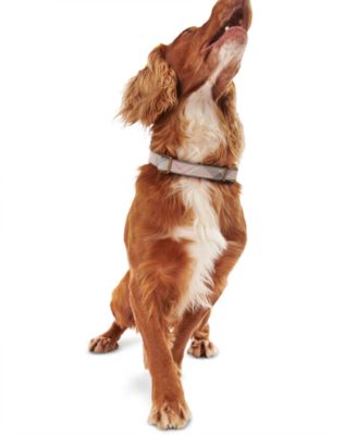 Barbour - Reflective Tartan Adjustable-Fit Dog Collar