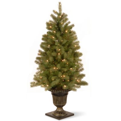 National Tree Company - National Tree 4' "Feel Real" Downswept Douglas Fir Entrance Tree with 100 Clear Lights Dark Bronze Plastic Pot