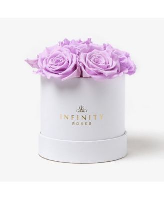Infinity Roses